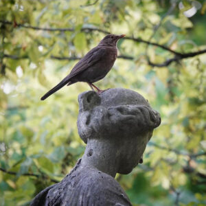 Bird Perched on Sculpture at Père-Lachaise