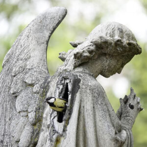 Bird nesting in statue at Père-Lachaise